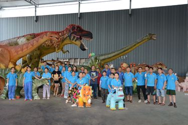 China Zigong Co-Creation Culture & Arts Co., Ltd. Company Profile