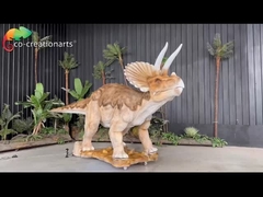 Realistic Induction Control Animatronic Dinosaurs Animatronic Triceratops For Attaction