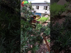 Waterproof Dinosaur Playground Equipment Animatronic Dinosaur Puppet For Dino Park