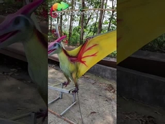 ISO 110VAC Realistic Dinosaur Animatronic Pterosaur Playground Equipment