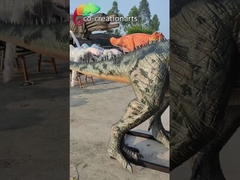 Eyes Blinking Real Life Size Animatronic Dinosaurs  Ceratosaurus Model