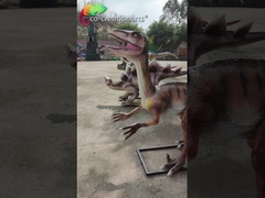 Personalized Customization Fiberglass Animatronic Replica Realistic  Dinosaur Model