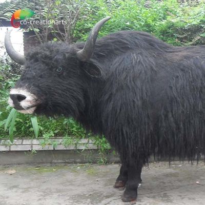Good price Customized Lifelike Animatronics Robotic Animal Wild Yak Replications For Exhibition online