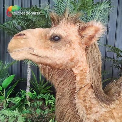Good price Artificial Realistic Animatronic Animals Customized Size Camel Controlled Remotely online