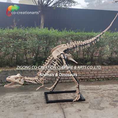 Highly Detailed Outdoor Decor Resin Dinosaur Skeleton Replica T-Rex Skeleton