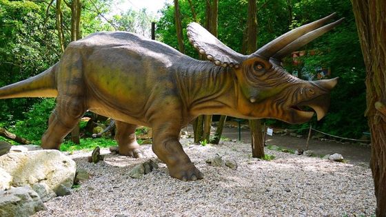 High Durability Realistic Robotic Animal for Optimal Performance
