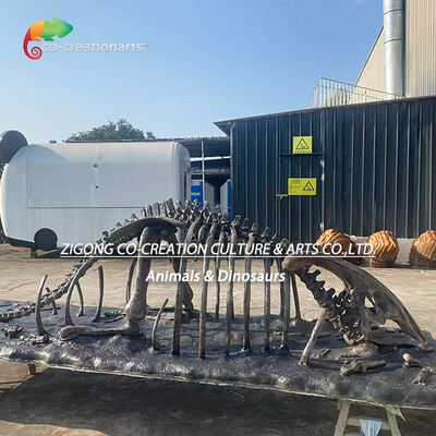 Buy Fiberglass Dinosaur Skeleton Fossil Remains Parasaurolophus Skeleton Replicas online manufacture