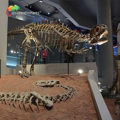Good price landscape decoration Outdoor Yangchuanosaurus Skeleton Dinosaur Replica Fossil online