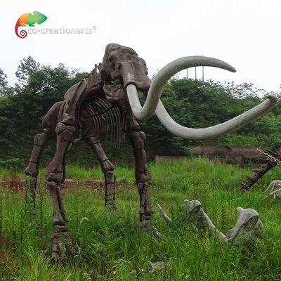 Good price weather reistance Real Size Replica Animal Skeletons Mammuthus Model online