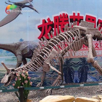 Good price Park Decoration Dinosaur Fossil Replicas Life Size Tsintaosaurus Skeleton Sunproof online